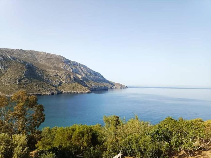 Calliope Paradise Balcony Panormos  Eksteriør billede